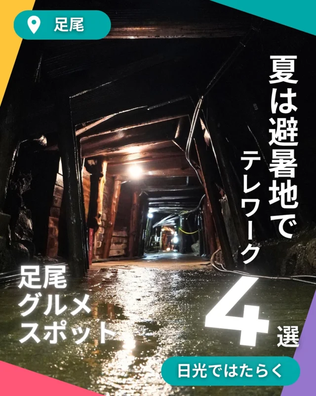 ディープな“日光”に出会える町、足尾へ
観光地・日光から少し足をのばすと、銅山で栄えた歴史を今に伝える山間の町「足尾」があります。
ノスタルジックなまち並み、産業遺産、温泉、そして“ローカルに愛される味”。

今回は、そんな足尾で出会えるグルメスポットを4つご紹介します🍽️

📍 さんしょう家
古民家で味わう足尾特産・山椒を使った定食。人気は山椒の冷やし中華と唐揚げ！

📍 ますや肉店
創業100年以上。揚げたてのコロッケやメンチカツは、まさに地元のソウルフード。

📍 安塚菓子店
小豆と寒天のやさしい甘さ。上皇后陛下も召し上がったという特製あんこ玉。

📍 わたらせ茶屋
土日限定の“おばあちゃんのおまかせランチ”。500円でほっこり満腹、子どもは無料！

🔸足尾銅山観光や庚申の湯などもセットで、
“日光の奥深さ”を感じる、そんな旅に出かけてみませんか？

#日光グルメ #足尾グルメ #足尾旅 #ローカル旅 #ディープ日光 #さんしょう家 #ますや肉店 #安塚菓子店 #わたらせ茶屋 #庚申の湯 #銅山観光 #足尾温泉 #日光観光 #スマートワークライフ日光 #スマ日 #日光で働く #日光 #栃木 #イベント #日光スポット #日光観光 #日光旅行 #奥日光 #ワーケーション #ワーケーションプラン #日光ワーケーション #栃木ワーケーション #新しい働き方 #リモート #リモートワーク
